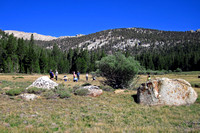 Meadow at Turn-Around on Cottonwood Lakes Trail