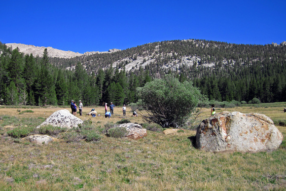 Meadow at Turn-Around on Cottonwood Lakes Trail