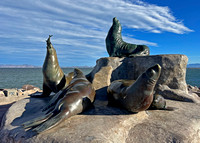 Loreto Harbor Sea Lion Sculpture