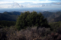 Orange County Viewed from Los Pinos Peak Summit