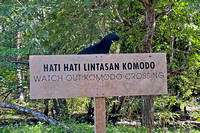 Komodo Dragon Crossing Sign