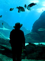 John at Lisbon Aquarium Central Tank