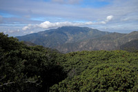 Santiago Peak Viewed from Los Pinos Trail