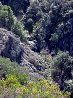 Trabuco Canyon Waterfall