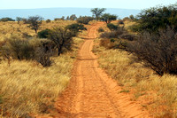 Tswalu:  Looking for Fresh Rhino Tracks
