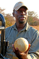 Nelson With Ostrich Egg
