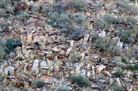 Baboon Habitat on Steep Rocky Slope