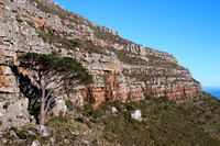 Table Mountain Cliff Side from Cable Car