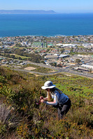 Rachel Photographing on Escarpment Over Coastal Plain