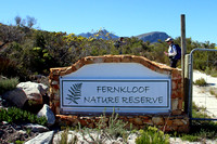 Fernkloof Nature Reserve Sign