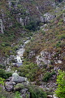 Gorge with Waterfalls in Bain's Kloof Valley