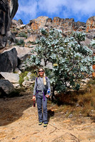 Rachel with King Protea in Cederberg Mountains