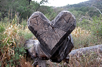Oak Carved Heart