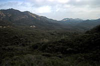 Santa Monica Mountains View