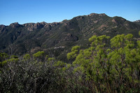 View Near End of Segment 4 Hike