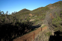 Segment 4 Trail End