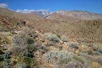 View From West Fork Trail to San Jacinto Mountains
