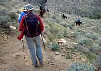 Hikers and Horseback Riders Sharing West Fork North Trail