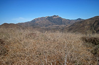 Final View to Boney Mountain Ridge