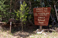 Cibola National Forest Sign on Sandia Crest