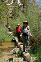Connie and John on the Logs Stream Crossing