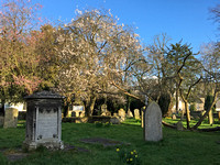 Saint Giles Church Cemetery