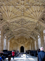 Oxford, Divinity School Ceiling