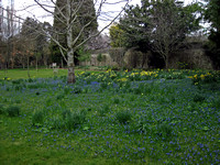 Oxford, Wadham College Garden