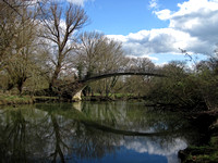 Oxford, River Walk