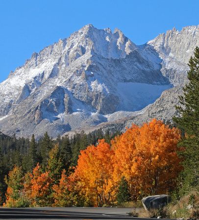 Fall Colors on the Drive to Little Lakes Valley Trailhead
