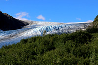 First View of Exit Glacier