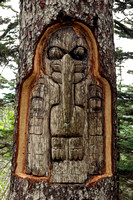 Tree Carving on Mount Roberts