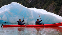 Glacier Bay Alaska Cruise, 2018