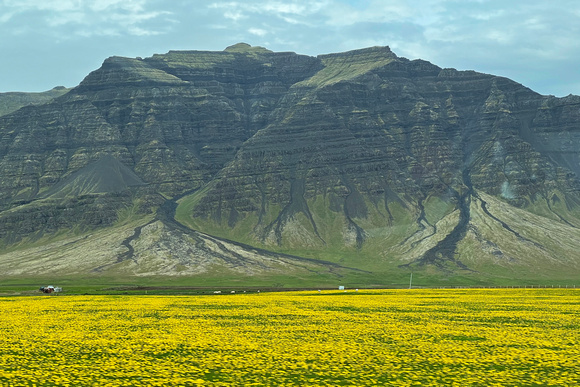 Fields and Mountains Along the Highway East of Reykjavik