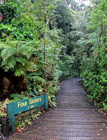 Sign at Turn Off to the Four Sisters Kauri Trees