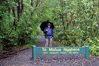 John at Te Matua Ngahere Tree Sign