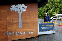 Tane Mahuta Kauri Forest Area Entrance