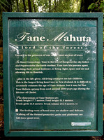 Tane Mahuta Sign
