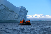 Icebergs Near Devon Island