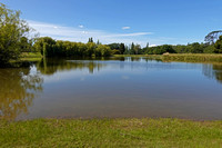 Quamby Estate  Pond