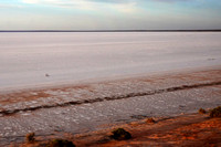Lake Hart Salt Pan