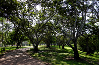 Darwin Esplanade Park