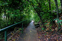 Lameroo Beach Walkway Rainforest