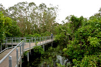 Mamukala Wetlands Walk in Kakadu National Park