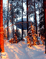 The UFO Treehouse
