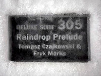 Deluxe Suite 305:  Raindrop Prelude