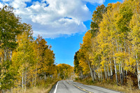 Grand Mesa Scenic Byway View