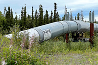Alaska Pipeline at Yukon River Crossing
