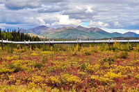 Brooks Range, Alaska Pipeline, and Tundra Color