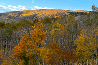 Grand Mesa Scenic Byway View